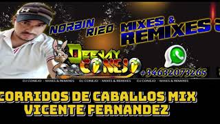 CORRIDOS DE CABALLOS MIXCONEJO DJ MIXES VICENTEFERNANDEZ [upl. by Heigl293]