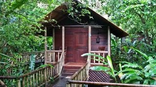 Evergreen Lodge Tortuguero Costa Rica [upl. by Cordier332]