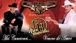 Raul Hernandez Mis Canciones con Los Tigres Del Norte Mix [upl. by Irret]