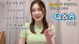 도쿄대생의 일본유학 큐앤에이 QampA1탄 [upl. by Kinnon963]