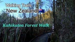 Kahikatea Forest Walk New Zealand 2024 [upl. by Hortense]