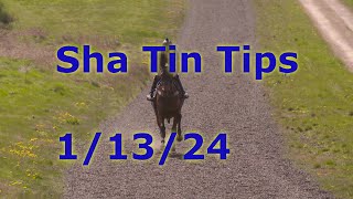 🏇Hong Kong Horse Racing Tips 1132024  Sha Tin [upl. by Dlabihcra]