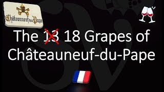 The 18 Grapes of ChâteauneufduPape 🍷 NOT 13 [upl. by Tillio]