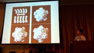 MOVES 2013 talk quotPuzzling the 120cellquot [upl. by Eahsal]