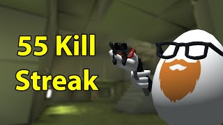 55 Kill Streak  Shell Shockers [upl. by Maggs]