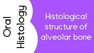 Histological structure of alveolar bone [upl. by Armand113]