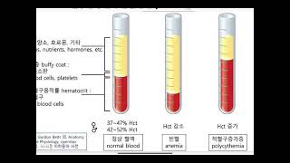 종이원심분리기를 이용한 헤마토크릿 측정 이론 설명 [upl. by Anoynek820]
