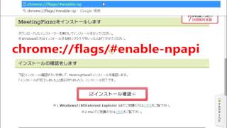 Chrome NPAPI有効設定 [upl. by Dwayne]