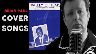 COVER SONGS Valley Of Tears [upl. by Wixted577]