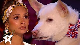 Judges Cry Over Emotional Dog Magic Act on Britains Got Talent 2020  Magicians Got Talent [upl. by Otrebire]