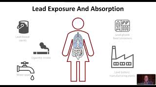 Anemia due to Lead Intoxication [upl. by Acinor]