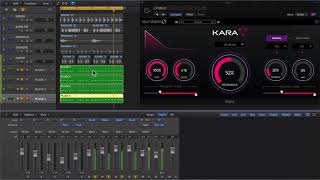 KARA Pluck and Delay Plugin VST Logic Pro Ableton FL Studio Cubase [upl. by Grizel]