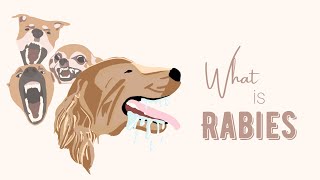 What is Rabies [upl. by Humph]