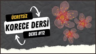 12 ÜNLÜ HARFLERİN OKUNUŞ KURALLARI  ÜCRETSİZ KORECE DERSLERİ [upl. by Cobb]