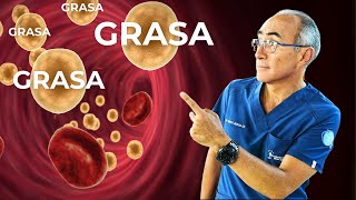 Grasa Corporal Peligrosa Localizaciones y Riesgos para la Salud [upl. by Micro]