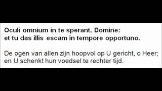 Oculi omnium Witte Donderdag  Sacramentsdag Graduale [upl. by Maeve]