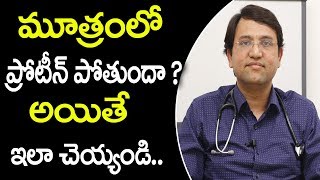 మూత్రంలో ప్రోటీన్ పోతే ఏంచేయాలి  Best Treatment for Proteinuria  Albuminuria  Latest Health tips [upl. by Mauer603]