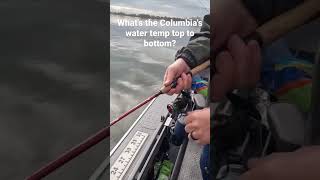 10 miles below McNary Dam Watch the complete Spring Walleye episode and we do stock Fish Hawk TDs [upl. by Naval]