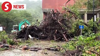 Typhoon Krathons landfall leaves trail of heavy destruction [upl. by Nemlaz]