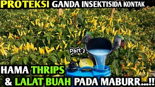 🔴 HAMA TRIPS amp LALAT BUAH PADA KABUR SETELAH PAKE INSEKTISIDA KONTAK infopertaniancabe [upl. by Welsh734]