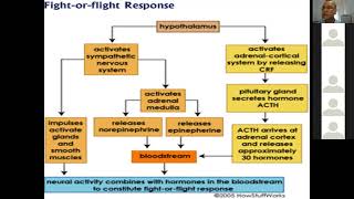 Biochemistry of Oxidative Stress by Dr Ajeet Kumar Dept of Vet Biochemistry BVC Patna [upl. by Nesnej]