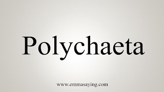 How To Say Polychaeta [upl. by Lally]