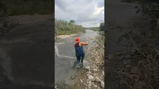 To much fish fishing fishingvideo amazing [upl. by Genaro]