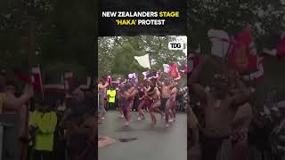 watch New Zealanders Stage HAKA Protest march towards Wellington against Indigenous Treaty Bill [upl. by Pomfrey725]