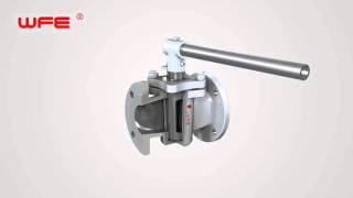 WFE Plug Valves 3D Demonstration [upl. by Finbur]