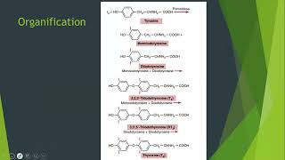 THYROID GLAND PHYSIOLOGY [upl. by Dan828]