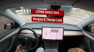 Tesla Full Self Driving 1231 Test Two [upl. by Karrie]