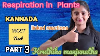 linked reaction fate of pyruvate respiration in a flowering plants part 3study respiration  11th [upl. by Wittenburg]