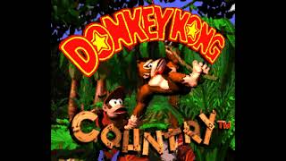 Donkey Kong Country  Simian Segue [upl. by Nolyag23]