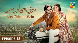 Teri Chhaon Mein Episode 18   Danish Taimoor  Teri Chhaon Mein Ep 18  HUM TV Drama Review [upl. by Hymie]