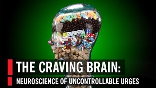 The Craving Brain Neuroscience of Uncontrollable Urges [upl. by Nihi]