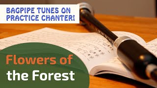 Flowers of the Forest  Bagpipe Tunes on Practice Chanter ⭐⭐⭐⭐⭐ [upl. by Moffat710]