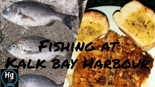 Fishing at KALK BAY HARBOURCatchampCook Hottentot [upl. by Bowra]