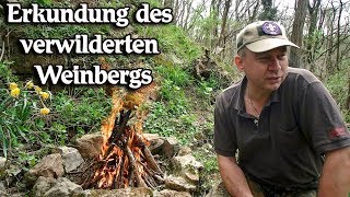 Erkundung des verwilderten Weinbergs [upl. by Ahsam]