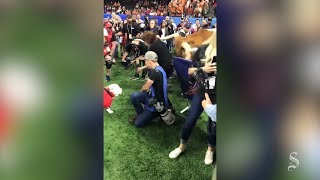 Bevo the Texas Longhorn charges barricade clips photographer at 2019 Sugar Bowl [upl. by Eladnar]