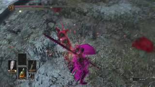 Farron Greatsword Backstab [upl. by Chelton]