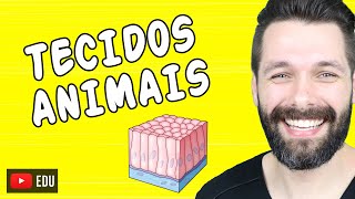 TECIDOS ANIMAIS  HISTOLOGIA ANIMAL  Mapa Mental e Resumo  Biologia com Samuel Cunha [upl. by Furgeson408]