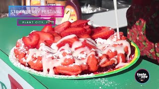 2022 Florida Strawberry Festival  Taste and See Tampa Bay [upl. by Anihsat]