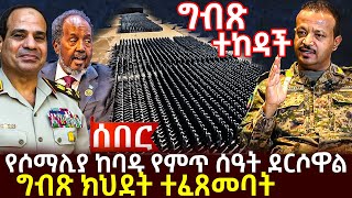 የሶማሊያ ከባዱ የምጥ ሰዓት ደረሰ  ግብጽ ክህደት ተፈጸመባት  የግብጽ ወድቆ የመንፈራገጥ ተረትAboldailyአቦል ዴይሊ [upl. by Nnylear]