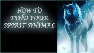 How To Find Your Spirit Animal [upl. by Root40]