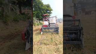 Yanmar harvester shorts shortsfeed viralshorts news [upl. by Monarski]