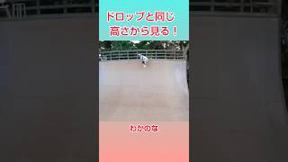 バーチドロップ目線！👀✨【スケボー】 [upl. by Strepphon]