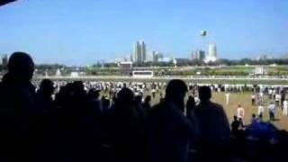 Mumbai Bombay Horse Race [upl. by Gothart]