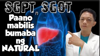 SGPT SGOT PAANO BABABA NG MABILIS AT NATURAL [upl. by Yajiv]