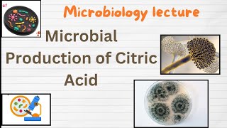 Citric acid production  Microbial Production of Citric Acid  Industrial production of Citric acid [upl. by Neyuq]