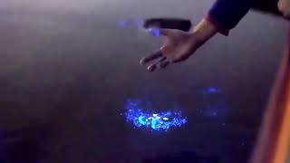 Vaadhoo Island Maldives The bioluminescent phytoplankton [upl. by Lenz]